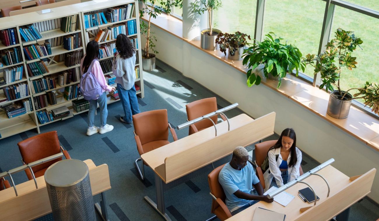 Università e manifattura artistica Veneto